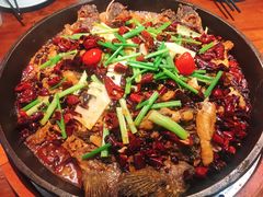 -老板恋上鱼(振华商厦店)
