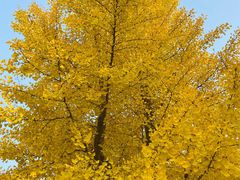 -朝阳公园游乐园