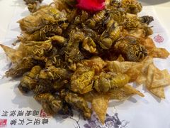 -大张烙馍村(泉山店)