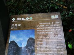 -楠溪江石桅岩