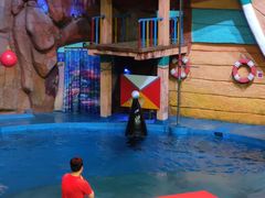 -烟台海昌鲸鲨海洋公园