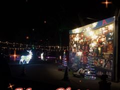 -枫花园汽车电影院(朝阳公园店)