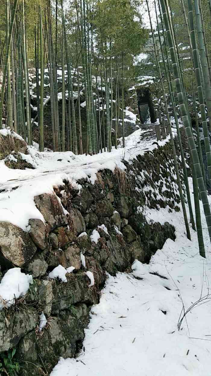 云岫寺-"在德清的一个山上.寺庙里没什么游客,但是."-大众点评移动版