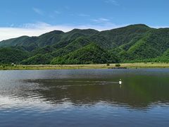 -大九湖