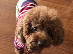 -宠颐生动物医院·心脏科·保险定点(锦阳分院)