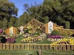 -上海共青森林公园