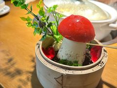 -菌彩云南野生菌火锅(万达广场店)