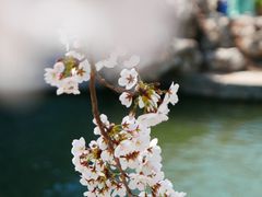-陶然亭公园