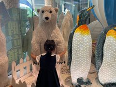 -帝企鹅自助餐厅•儿童岛•真企鹅(长隆企鹅酒店)