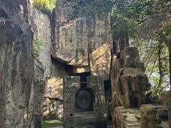 -铁山坪森林公园