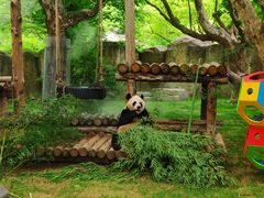 -上海野生动物园