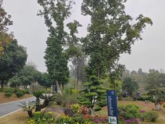 -东莞植物园