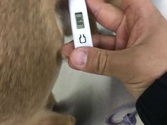 -中农大我爱我爱24h动物医院·中医针灸·猫专科·骨科医疗中心(双井店)