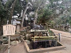 -奈良公园