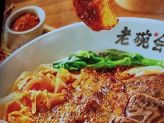 -老碗会·陕西手工面(燕南路店)