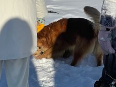 -雪谷