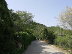 -府君山公园