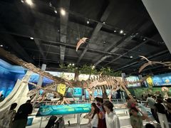 -国家自然博物馆