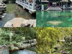 -老板恋上鱼(恒隆广场店)