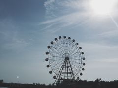 -白洋淀景区