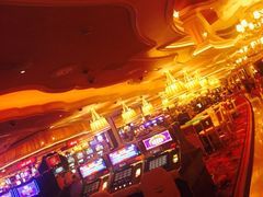 -拉斯维加斯永利酒店