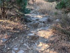 -北京西山国家森林公园