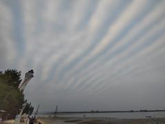 -北海金海湾红树林生态旅游区