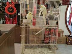 -潇湘·永州会馆(百子湾店)