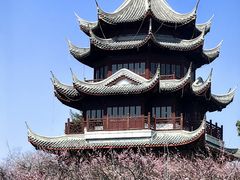 -上海海湾国家森林公园