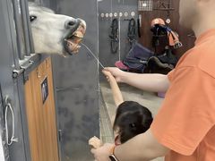 -骑乐马术(广州奥体优托邦中心)