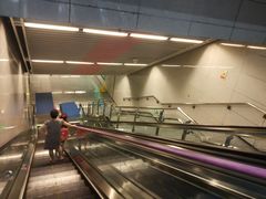 -大龙山(地铁站)