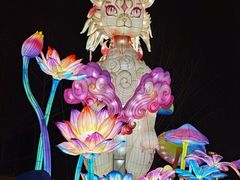 -武汉园博园(武汉自然博物馆)