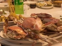 -金海湾海鲜排档(朱家尖店)