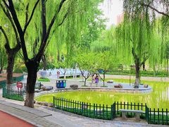 -长乐公园游乐场