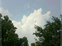 -山东大学(软件园校区)