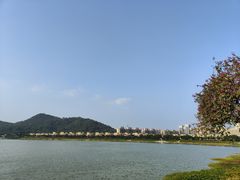 -风云岭森林公园