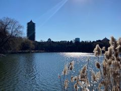 -北京大学百年讲堂