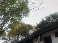 -练塘古镇