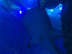 -成都浩海立方海洋公园