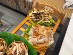 -菌海森林·非遗野生菌火锅(西山区滇池路摩根道店)