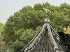 -上海醉白池公园