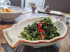 爽口黄瓜苗-林间山庄