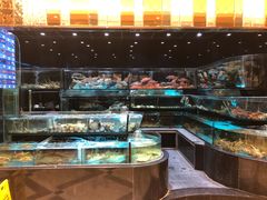 水产区-金翠皇宫粤菜·点心·海鲜(科技园店)