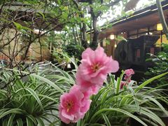 -陶缘一号·四季缘·老字号顺德菜·户外婚礼家宴(西滘店)