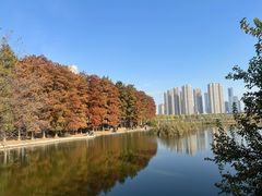 -汉水公园