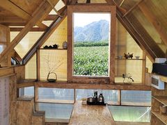 -龙坞茶村