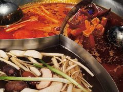 -辣伍鲜毛肚老火锅(元一店)