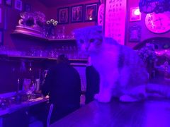 -星宿秘码(鼓浪屿老店)