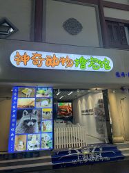点击看大图 -神奇动物撸宠馆·羊驼·小浣熊·异宠(豫园店)