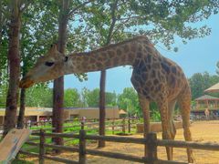 -大连森林动物园